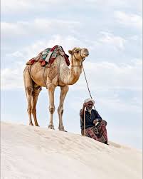 Camel Routes